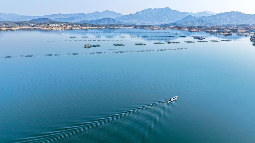 闽中苗木基地
